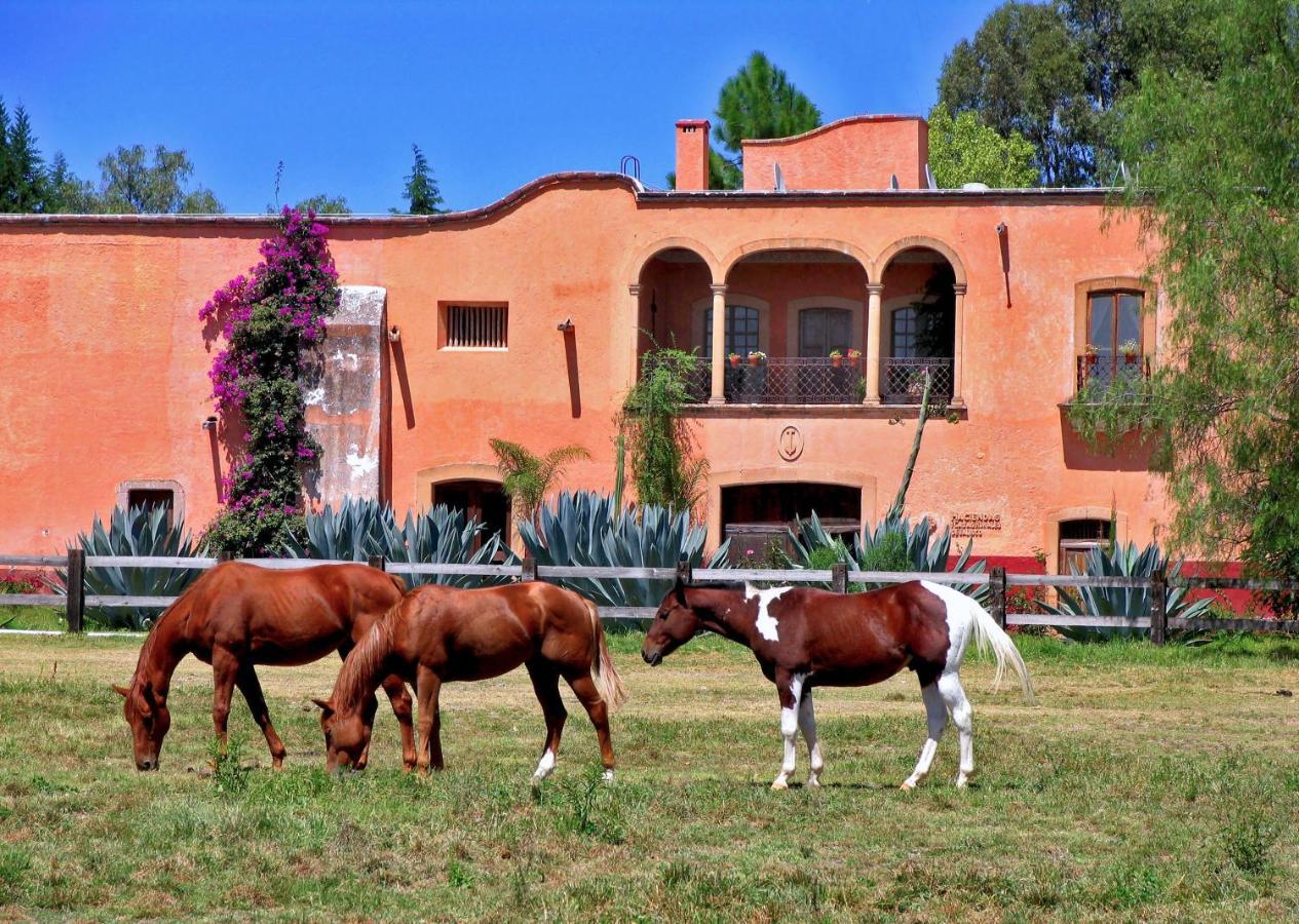 Hacienda Sepulveda Hotel & Spa (Adults Only) Lagos de Moreno Exterior foto